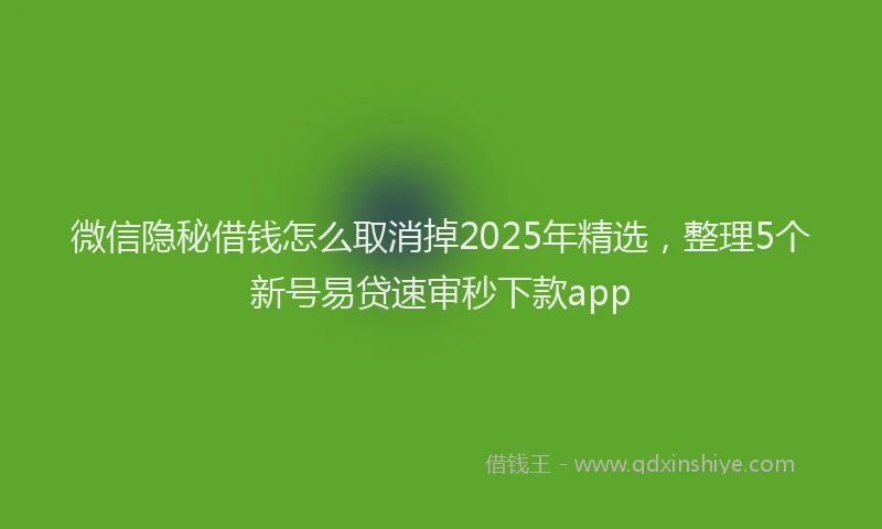 微信隐秘借钱怎么取消掉2025年精选，整理5个新号易贷速审秒下款app