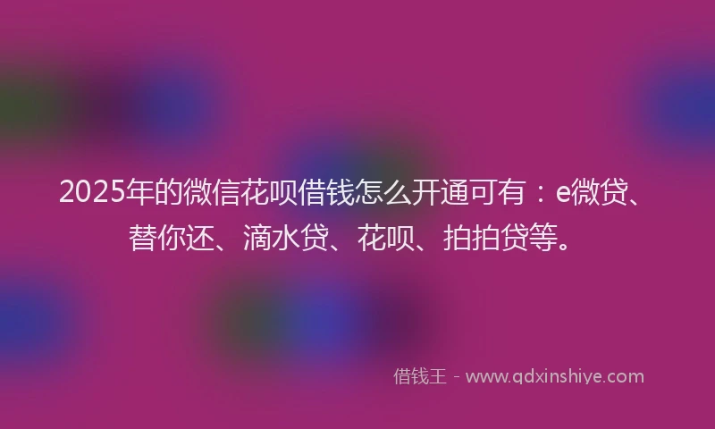 2025年的微信花呗借钱怎么开通可有：e微贷、替你还、滴水贷、花呗、拍拍贷等。