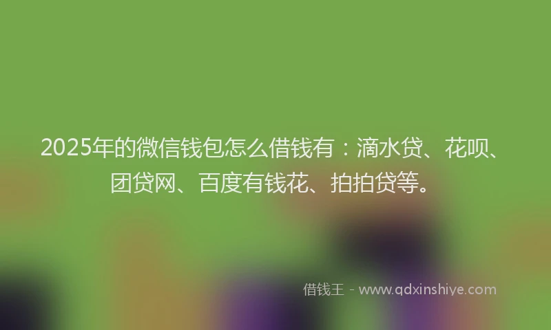 2025年的微信钱包怎么借钱有：滴水贷、花呗、团贷网、百度有钱花、拍拍贷等。