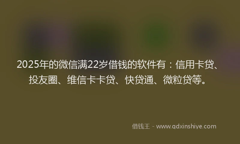 2025年的微信满22岁借钱的软件有：信用卡贷、投友圈、维信卡卡贷、快贷通、微粒贷等。