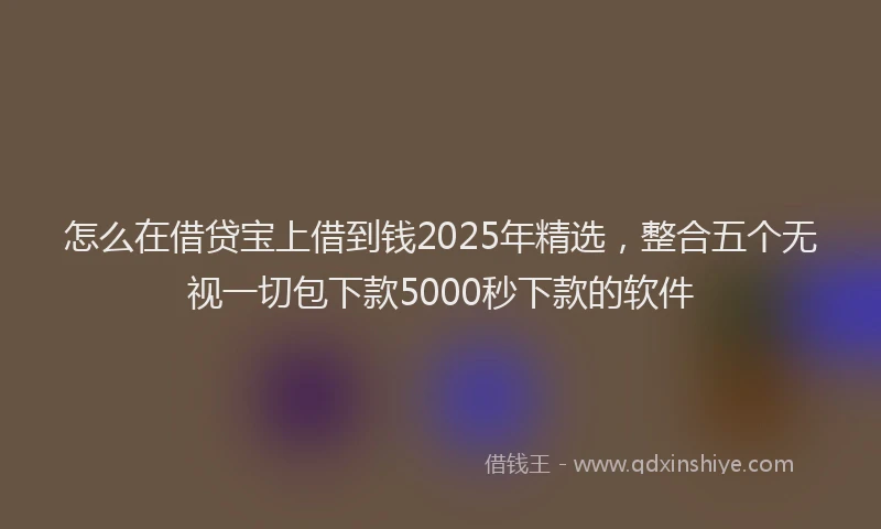 怎么在借贷宝上借到钱2025年精选，整合五个无视一切包下款5000秒下款的软件