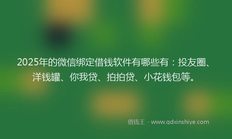 2025年的微信绑定借钱软件有哪些有：投友圈、洋钱罐、你我贷、拍拍贷、小花钱包等。