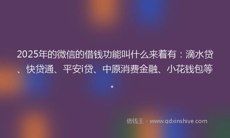 2025年的微信的借钱功能叫什么来着有：滴水贷、快贷通、平安i贷、中原消费金融、小花钱包等。