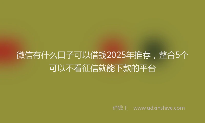 微信有什么口子可以借钱2025年推荐，整合5个可以不看征信就能下款的平台