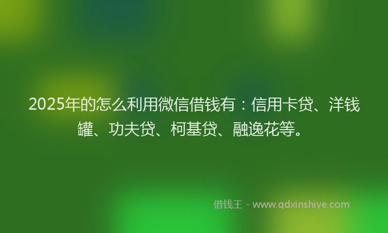 2025年的怎么利用微信借钱有：信用卡贷、洋钱罐、功夫贷、柯基贷、融逸花等。