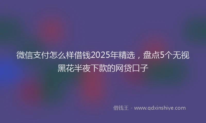 微信支付怎么样借钱2025年精选，盘点5个无视黑花半夜下款的网贷口子