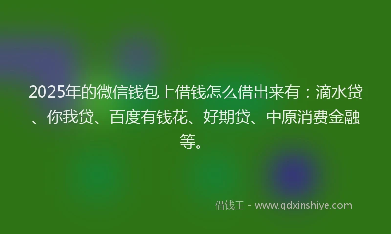 2025年的微信钱包上借钱怎么借出来有：滴水贷、你我贷、百度有钱花、好期贷、中原消费金融等。
