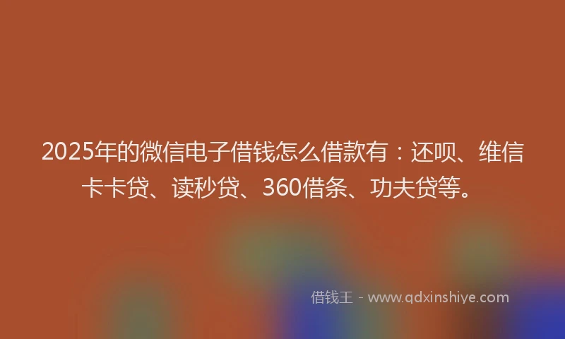 2025年的微信电子借钱怎么借款有：还呗、维信卡卡贷、读秒贷、360借条、功夫贷等。