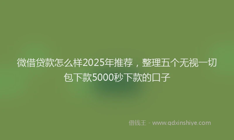 微借贷款怎么样2025年推荐，整理五个无视一切包下款5000秒下款的口子