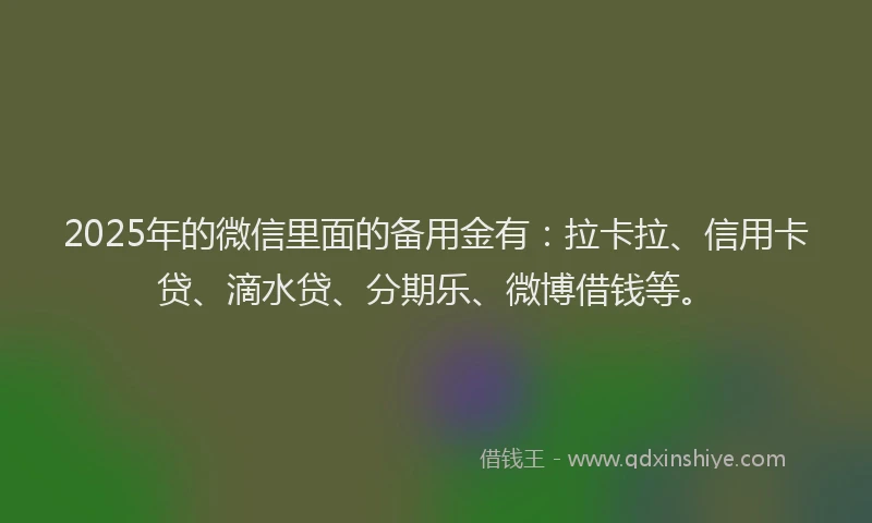 2025年的微信里面的备用金有：拉卡拉、信用卡贷、滴水贷、分期乐、微博借钱等。