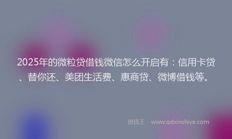 2025年的微粒贷借钱微信怎么开启有：信用卡贷、替你还、美团生活费、惠商贷、微博借钱等。