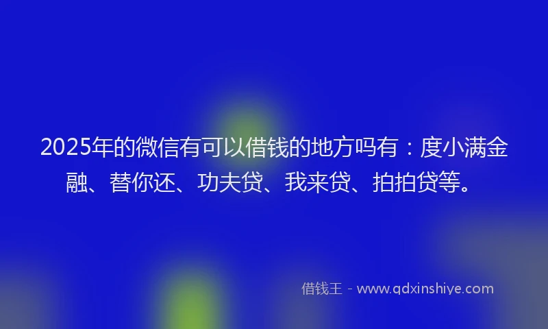 2025年的微信有可以借钱的地方吗有：度小满金融、替你还、功夫贷、我来贷、拍拍贷等。