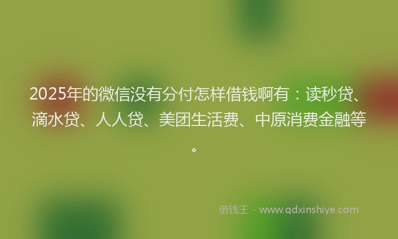 2025年的微信没有分付怎样借钱啊有：读秒贷、滴水贷、人人贷、美团生活费、中原消费金融等。