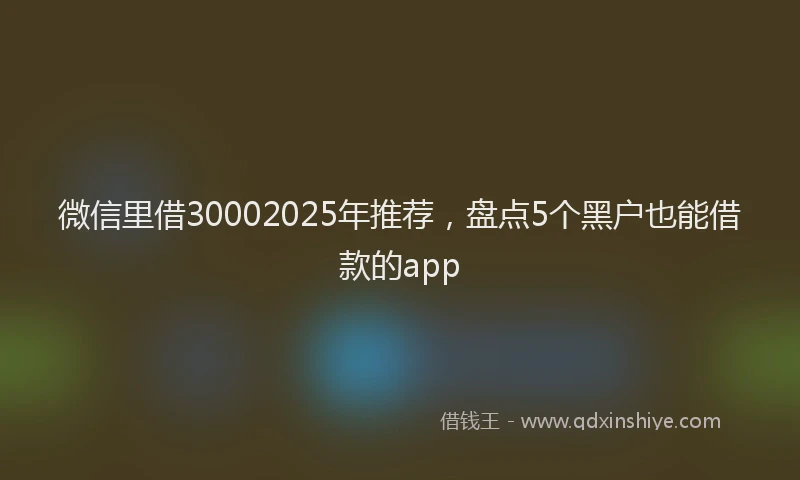 微信里借30002025年推荐，盘点5个黑户也能借款的app