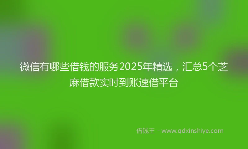 微信有哪些借钱的服务2025年精选，汇总5个芝麻借款实时到账速借平台