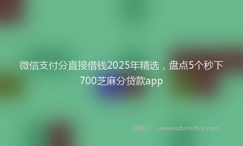 微信支付分直接借钱2025年精选，盘点5个秒下700芝麻分贷款app