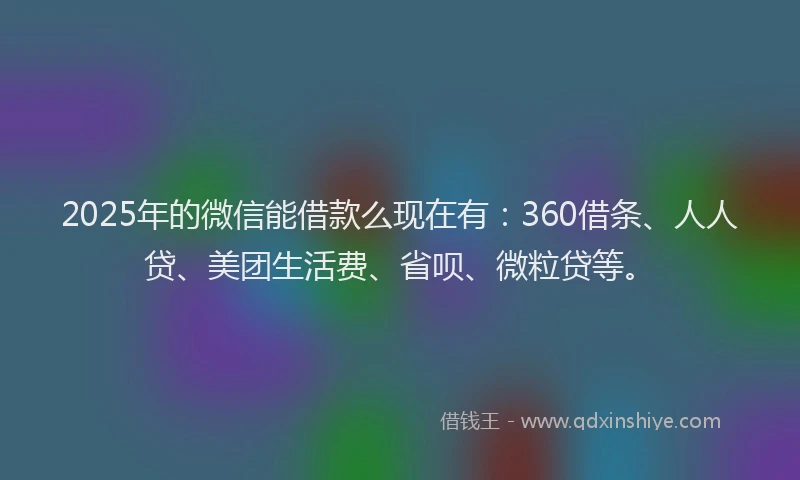 2025年的微信能借款么现在有：360借条、人人贷、美团生活费、省呗、微粒贷等。