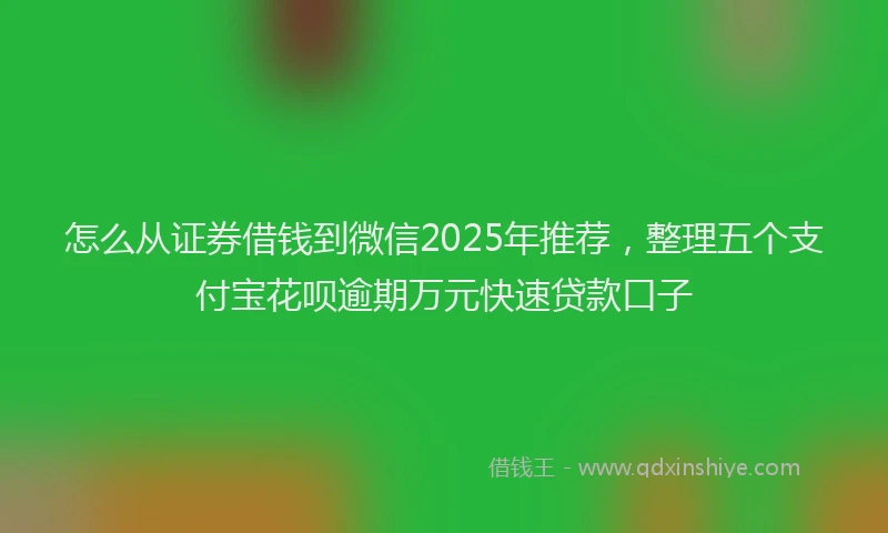 怎么从证券借钱到微信2025年推荐，整理五个支付宝花呗逾期万元快速贷款口子