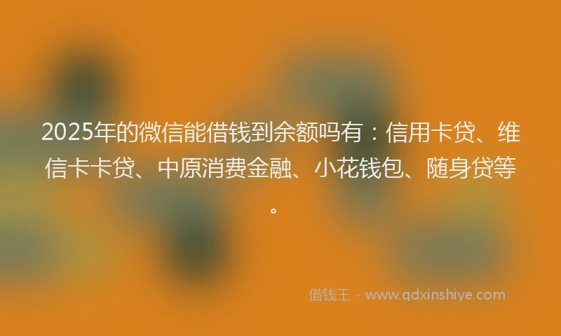 2025年的微信能借钱到余额吗有：信用卡贷、维信卡卡贷、中原消费金融、小花钱包、随身贷等。