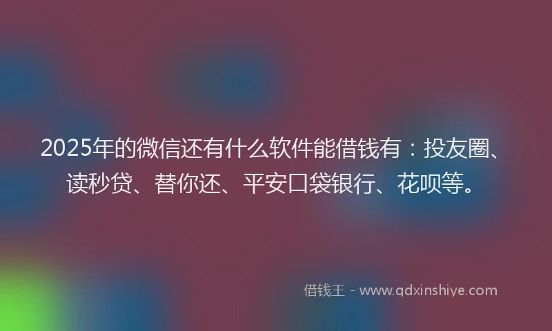 2025年的微信还有什么软件能借钱有：投友圈、读秒贷、替你还、平安口袋银行、花呗等。