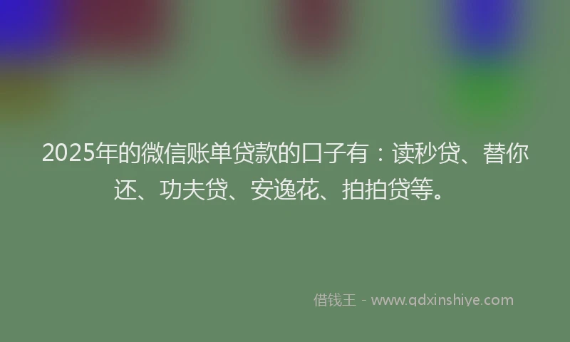 2025年的微信账单贷款的口子有：读秒贷、替你还、功夫贷、安逸花、拍拍贷等。