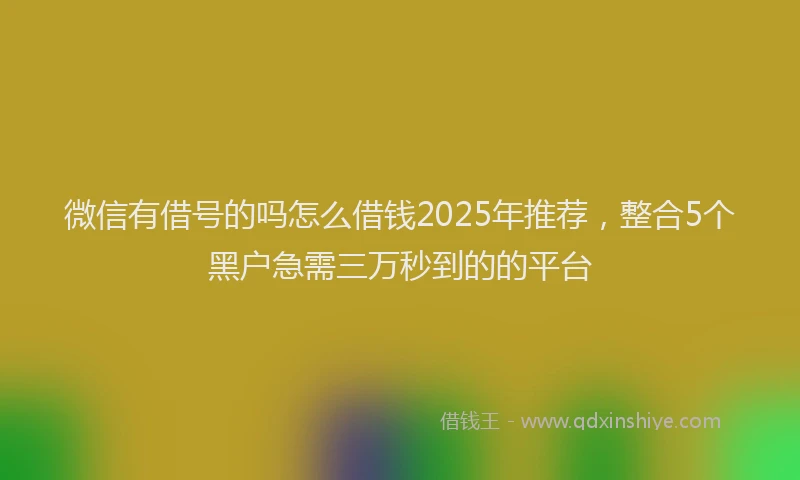 微信有借号的吗怎么借钱2025年推荐，整合5个黑户急需三万秒到的的平台