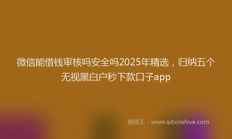 微信能借钱审核吗安全吗2025年精选，归纳五个无视黑白户秒下款口子app