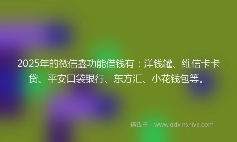 2025年的微信鑫功能借钱有：洋钱罐、维信卡卡贷、平安口袋银行、东方汇、小花钱包等。