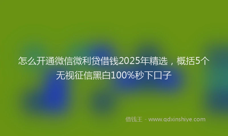 怎么开通微信微利贷借钱2025年精选，概括5个无视征信黑白100%秒下口子