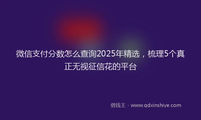 微信支付分数怎么查询2025年精选，梳理5个真正无视征信花的平台