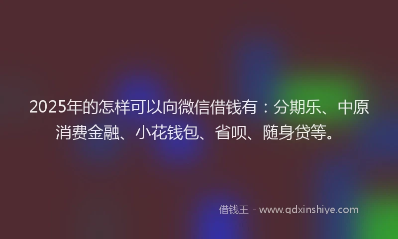 2025年的怎样可以向微信借钱有：分期乐、中原消费金融、小花钱包、省呗、随身贷等。