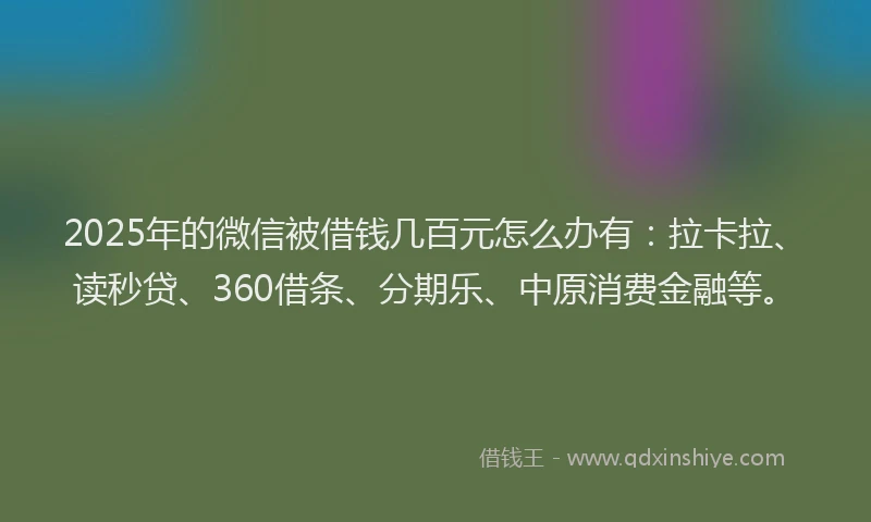 2025年的微信被借钱几百元怎么办有：拉卡拉、读秒贷、360借条、分期乐、中原消费金融等。