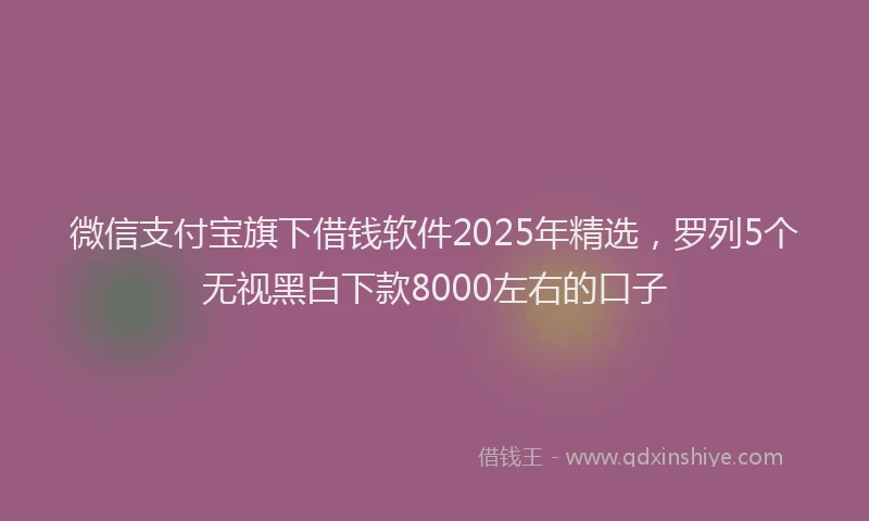 微信支付宝旗下借钱软件2025年精选，罗列5个无视黑白下款8000左右的口子