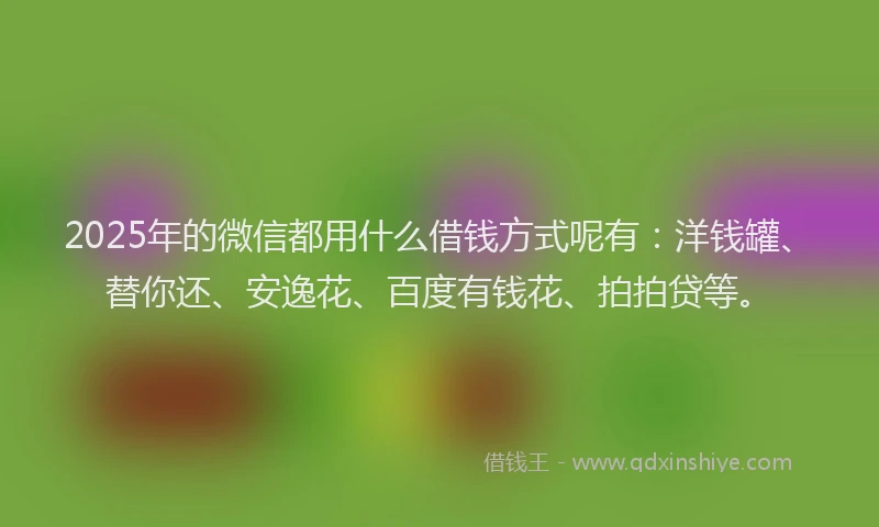 2025年的微信都用什么借钱方式呢有：洋钱罐、替你还、安逸花、百度有钱花、拍拍贷等。
