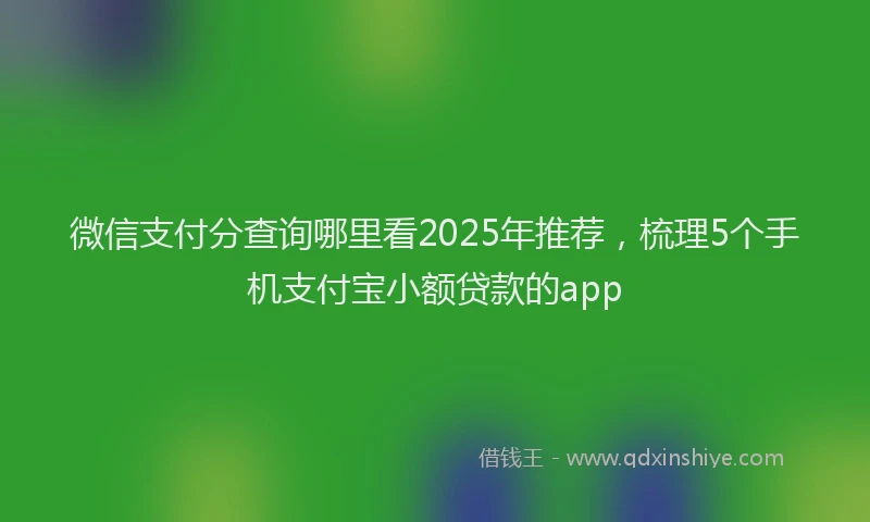 微信支付分查询哪里看2025年推荐，梳理5个手机支付宝小额贷款的app