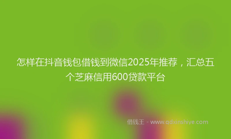 怎样在抖音钱包借钱到微信2025年推荐，汇总五个芝麻信用600贷款平台