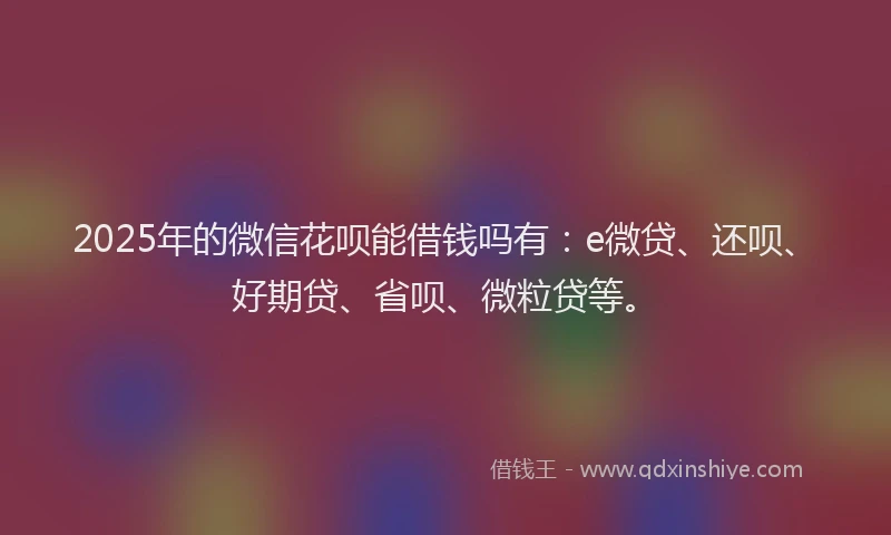 2025年的微信花呗能借钱吗有：e微贷、还呗、好期贷、省呗、微粒贷等。