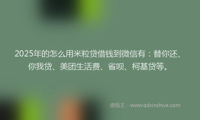 2025年的怎么用米粒贷借钱到微信有：替你还、你我贷、美团生活费、省呗、柯基贷等。