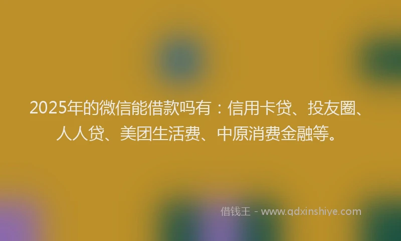 2025年的微信能借款吗有：信用卡贷、投友圈、人人贷、美团生活费、中原消费金融等。
