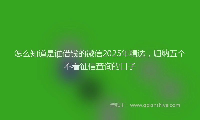 怎么知道是谁借钱的微信2025年精选，归纳五个不看征信查询的口子