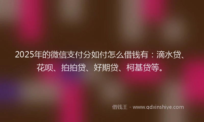 2025年的微信支付分如付怎么借钱有：滴水贷、花呗、拍拍贷、好期贷、柯基贷等。