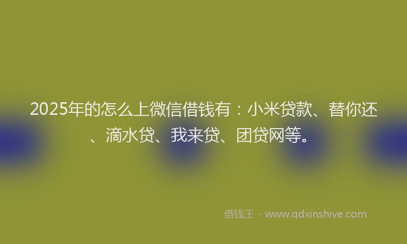2025年的怎么上微信借钱有:小米贷款、替你还、滴水贷、我来贷、团贷网等。