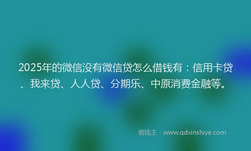 2025年的微信没有微信贷怎么借钱有：信用卡贷、我来贷、人人贷、分期乐、中原消费金融等。