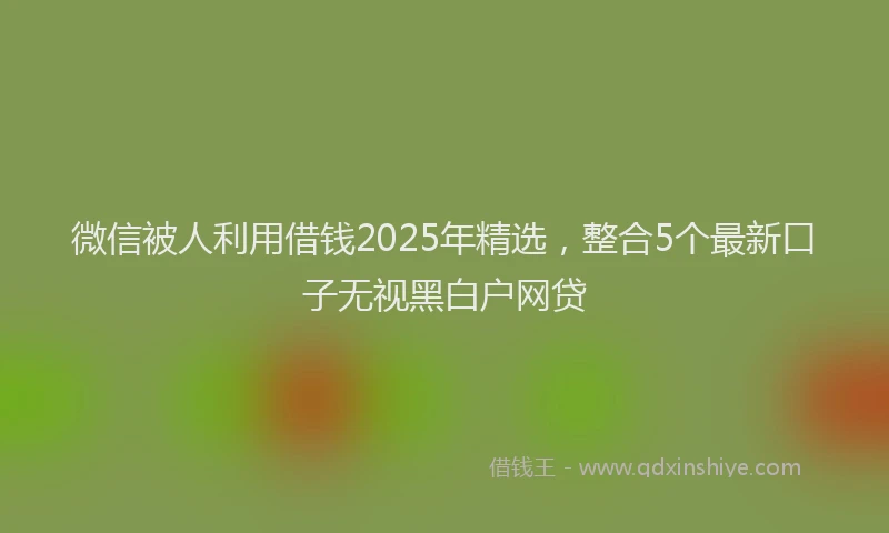 微信被人利用借钱2025年精选，整合5个最新口子无视黑白户网贷