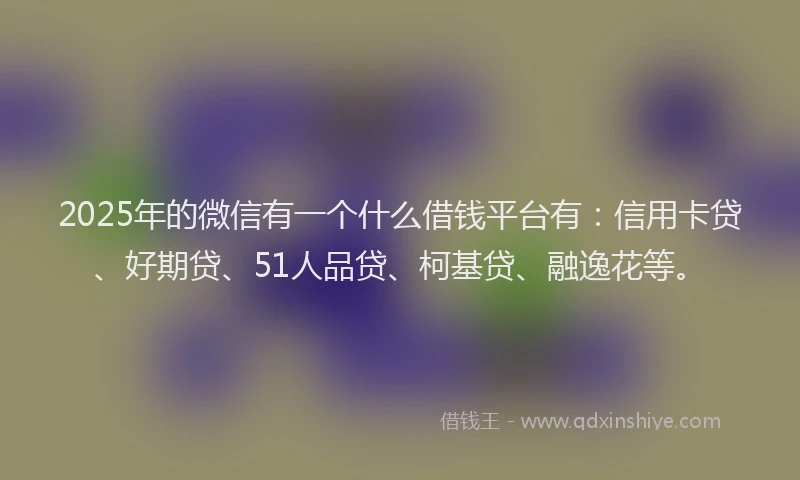 2025年的微信有一个什么借钱平台有：信用卡贷、好期贷、51人品贷、柯基贷、融逸花等。