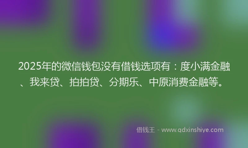 2025年的微信钱包没有借钱选项有：度小满金融、我来贷、拍拍贷、分期乐、中原消费金融等。