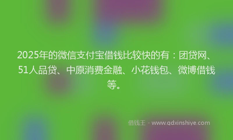 2025年的微信支付宝借钱比较快的有：团贷网、51人品贷、中原消费金融、小花钱包、微博借钱等。