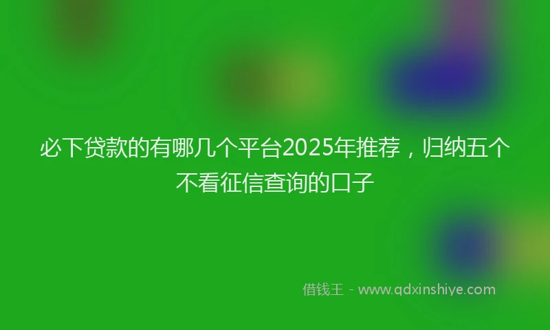 必下贷款的有哪几个平台2025年推荐，归纳五个不看征信查询的口子