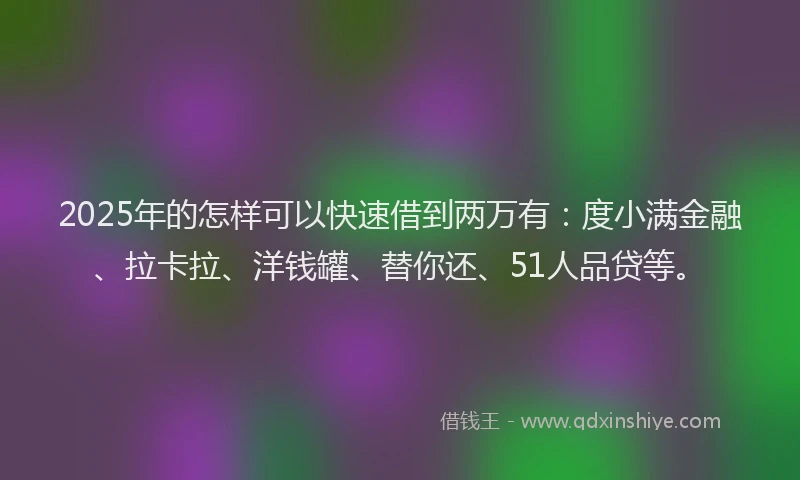 2025年的怎样可以快速借到两万有：度小满金融、拉卡拉、洋钱罐、替你还、51人品贷等。