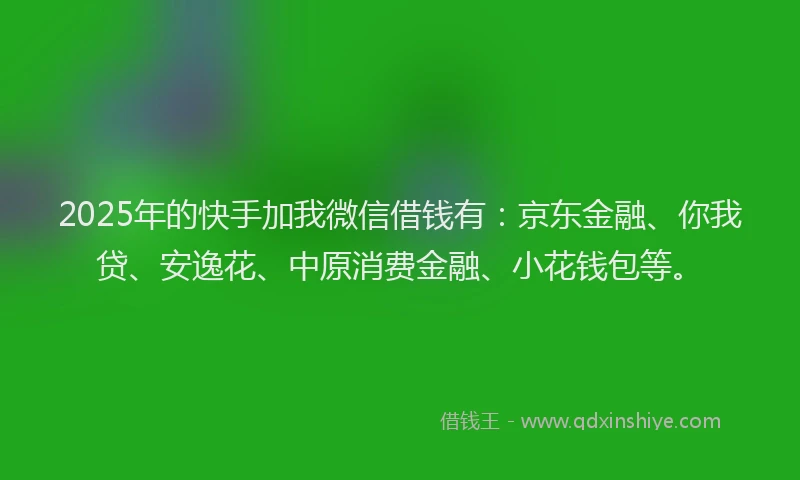 2025年的快手加我微信借钱有：京东金融、你我贷、安逸花、中原消费金融、小花钱包等。